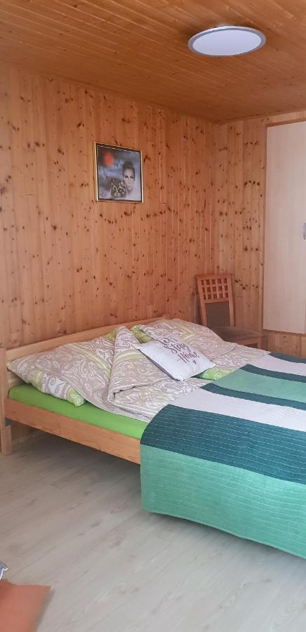 Haus Daniel Mariazell Apartment Екстериор снимка