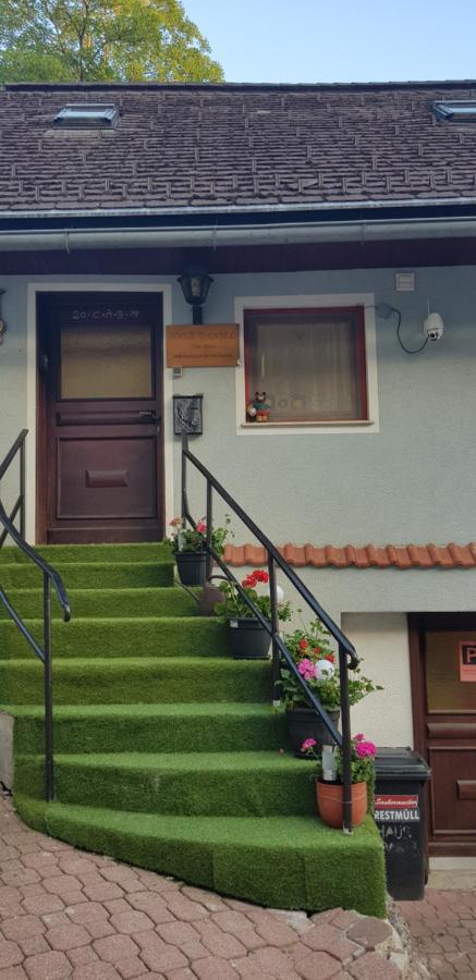 Haus Daniel Mariazell Apartment Екстериор снимка